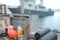 At-The-Dock