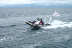 Zodiac-Joining-The-Fleet