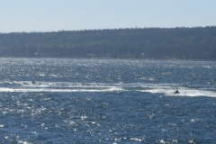 Tubs-in-Rough-Water-by-Entrance-Island